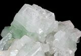 Zoned Apophyllite Crystals with Stilbite - India #44424-2